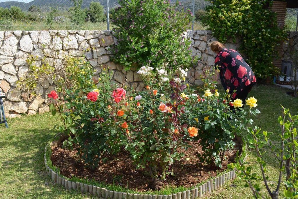 Paloma Βίλα Καραβάδος Εξωτερικό φωτογραφία