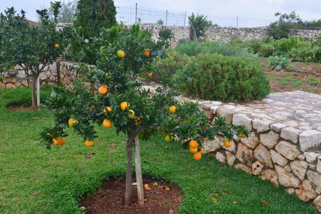 Paloma Βίλα Καραβάδος Εξωτερικό φωτογραφία